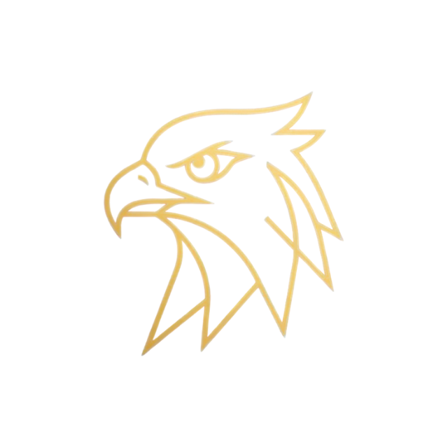 Hawk Motif